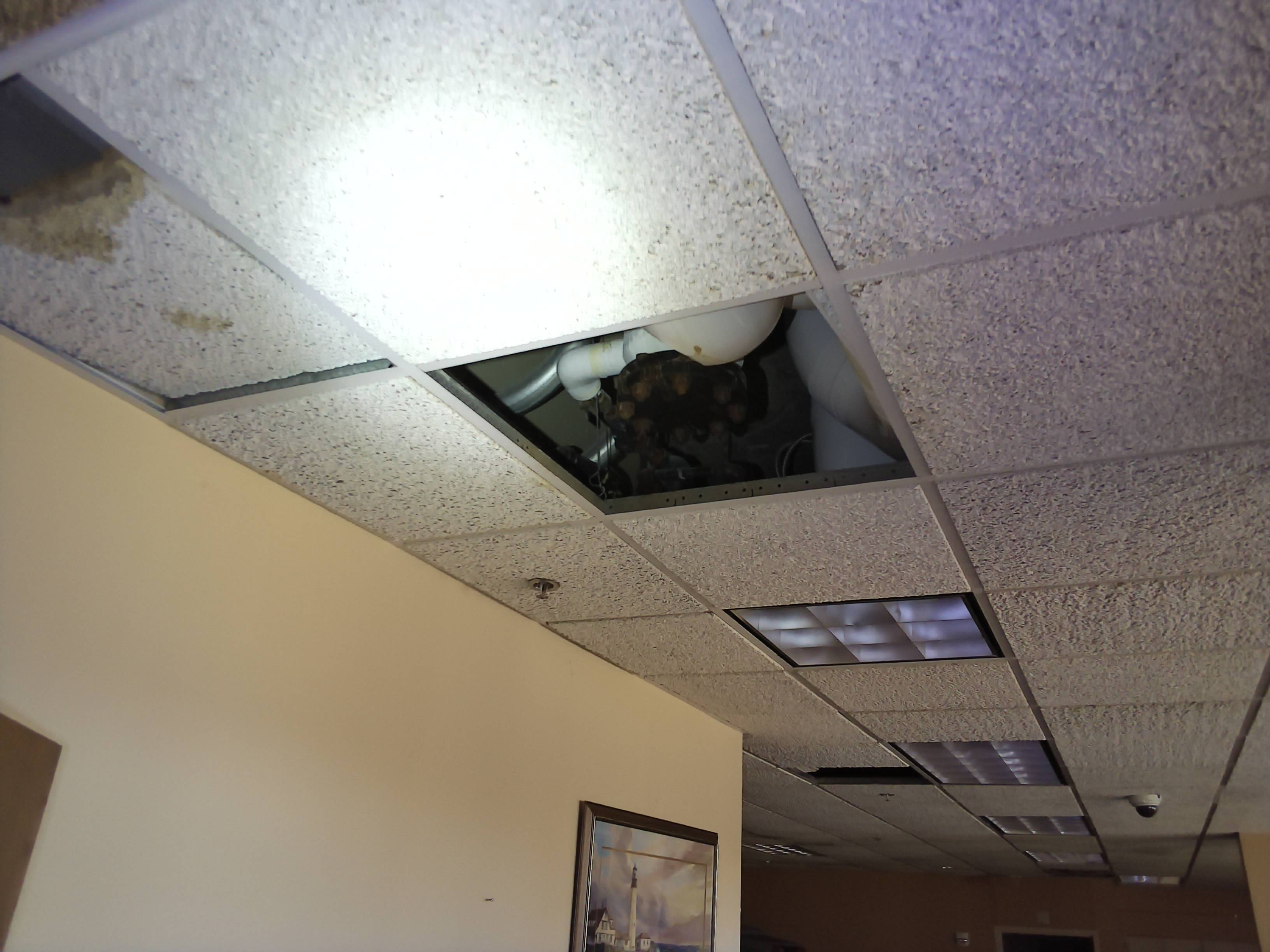 VIS: Ref 135815 - VIS